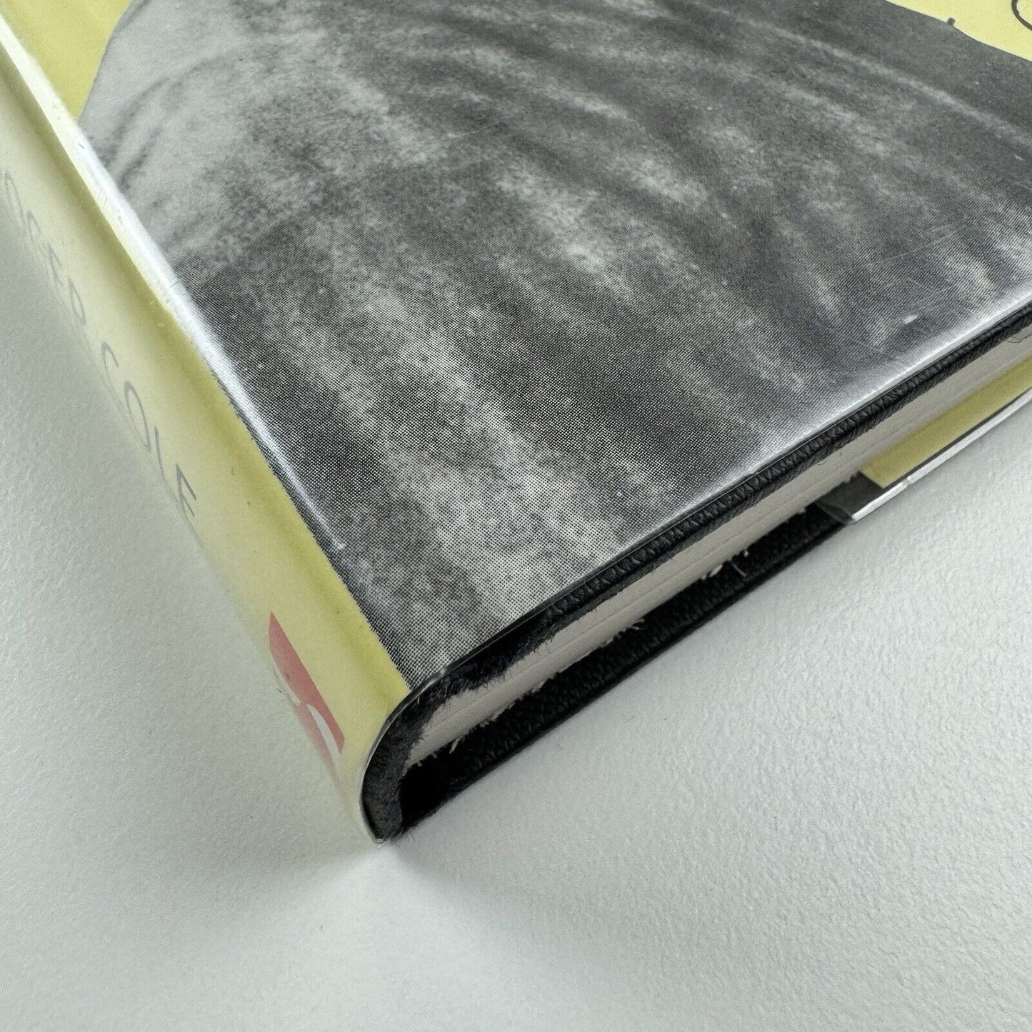 Gaudier Brzeska Artist and Myth by Roger Cole | Sansom & Company, 1995