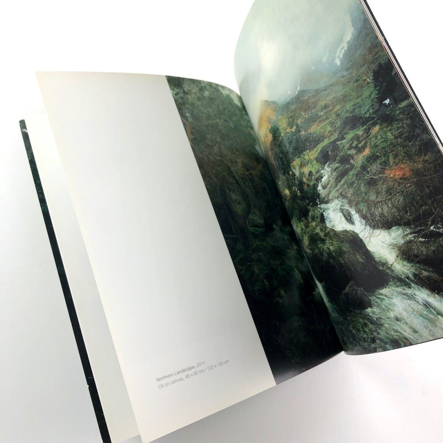 Martin Greenland. Uncharted Land. Paintings 2011 | Art Space Gallery