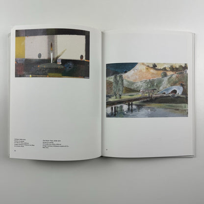 Merlin James | Parasol unit, London 2013 exhibition catalogue