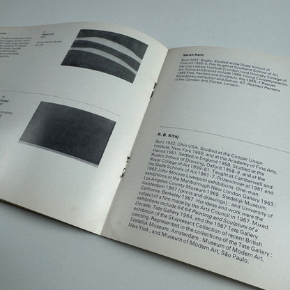 Arts Council Collection 1967-68 | Paintings bought by Alan Bowness & Robyn Denny | Arts Council touring exhibition 1969-73