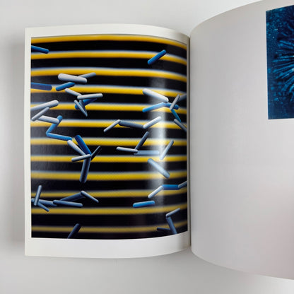 Mark Wright. Paintings 1996-2000 | Rhodes & Mann, 2000