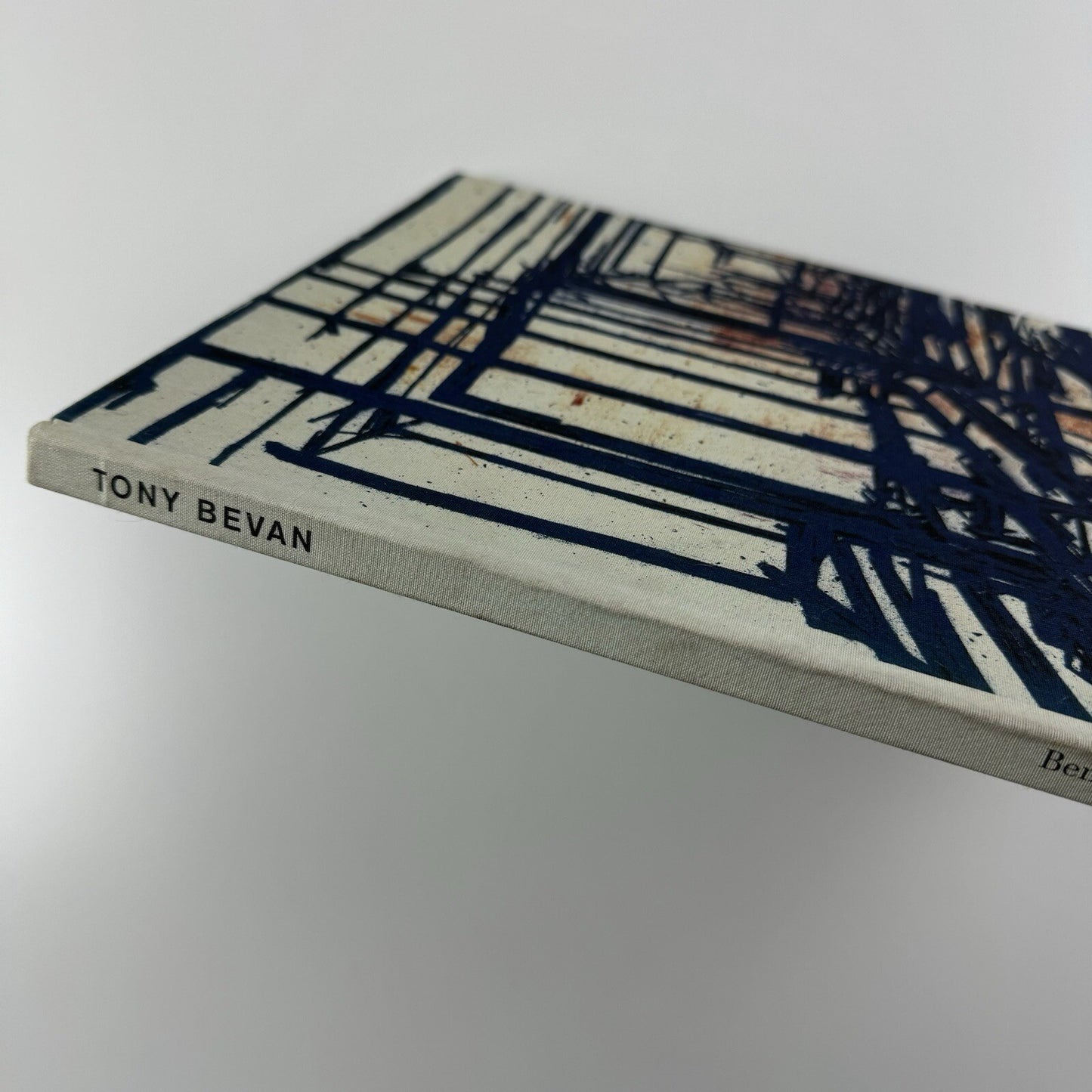Tony Bevan | Ben Brown Fine Arts exhibition catalogue, 2006