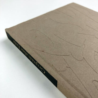 Gespräch Ohne Ende. Religion, Wissenschaft, Sinn der geschichte | H. W. Thomas | Belser Verlag, 1965