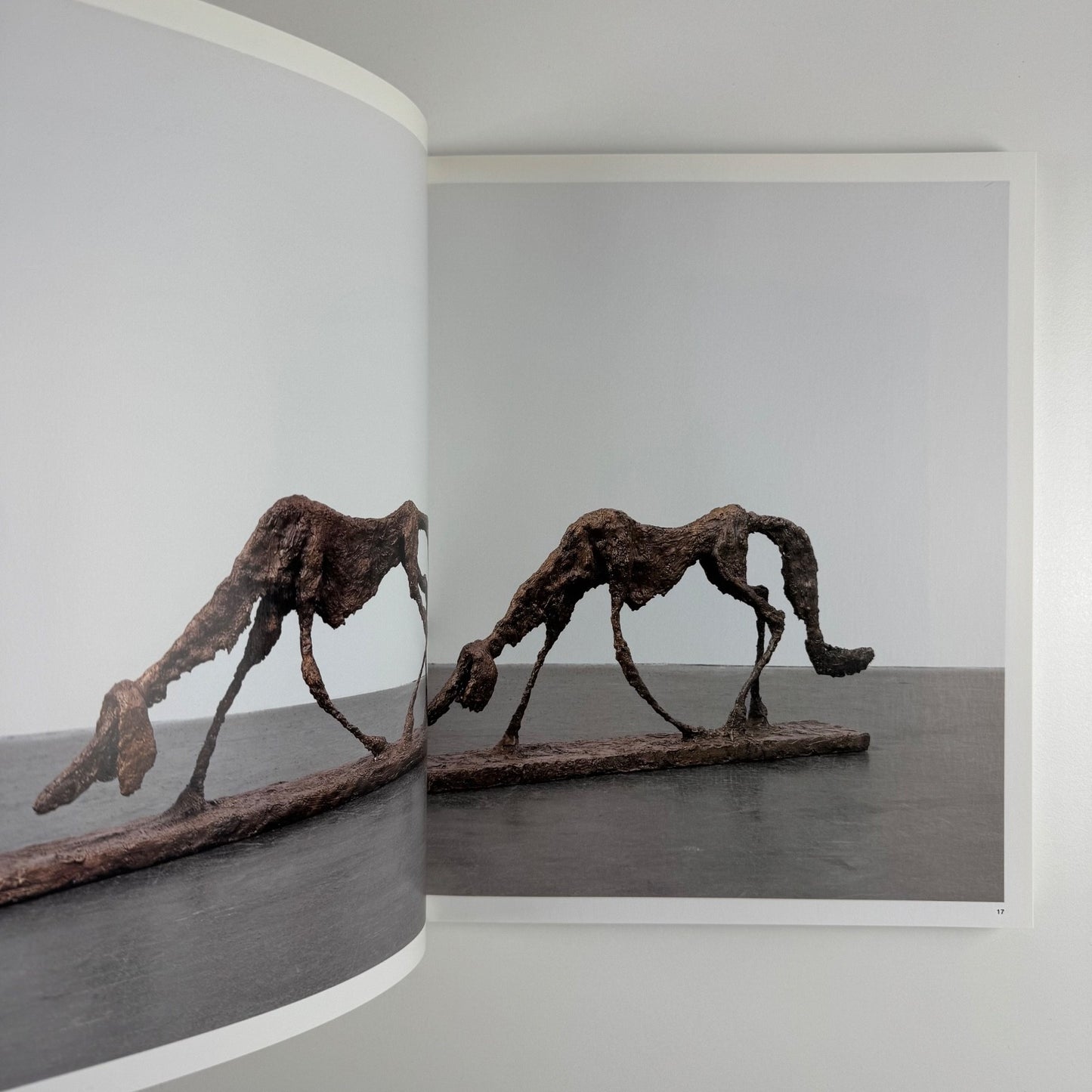 Valentin Carron | Galerie Eva Presenhuber, JRP Ringier, 2011