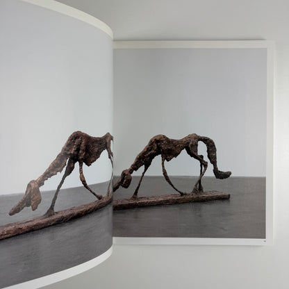 Valentin Carron | Galerie Eva Presenhuber, JRP Ringier, 2011