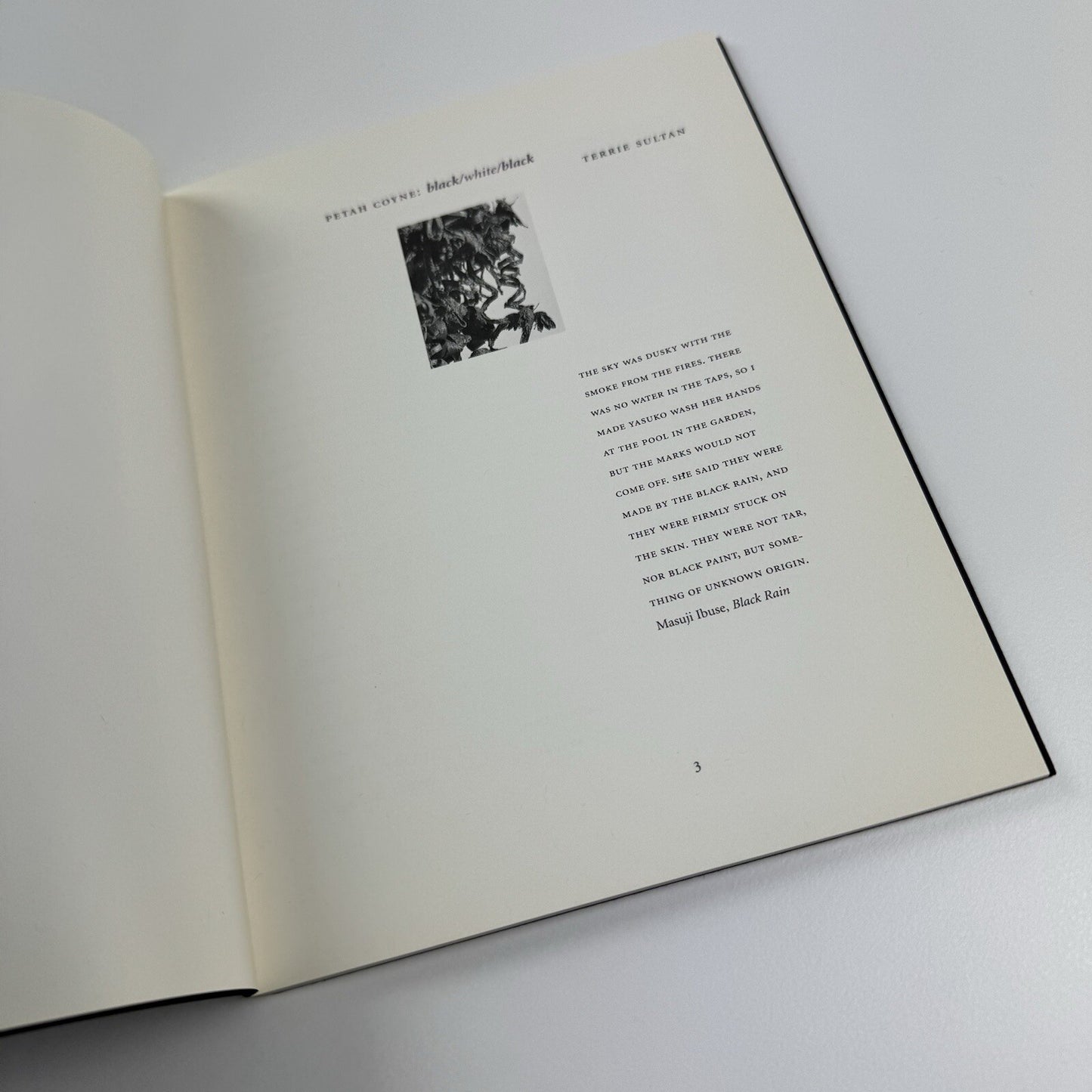 Petah Coyne black/white/black | The Corcoran Gallery of Art catalogue, 1996/7