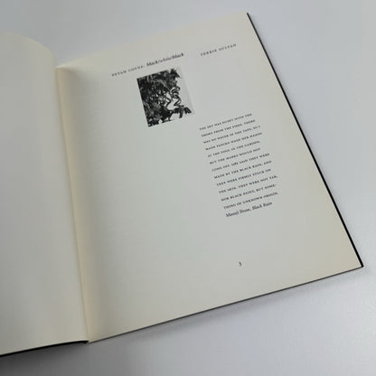 Petah Coyne black/white/black | The Corcoran Gallery of Art catalogue, 1996/7