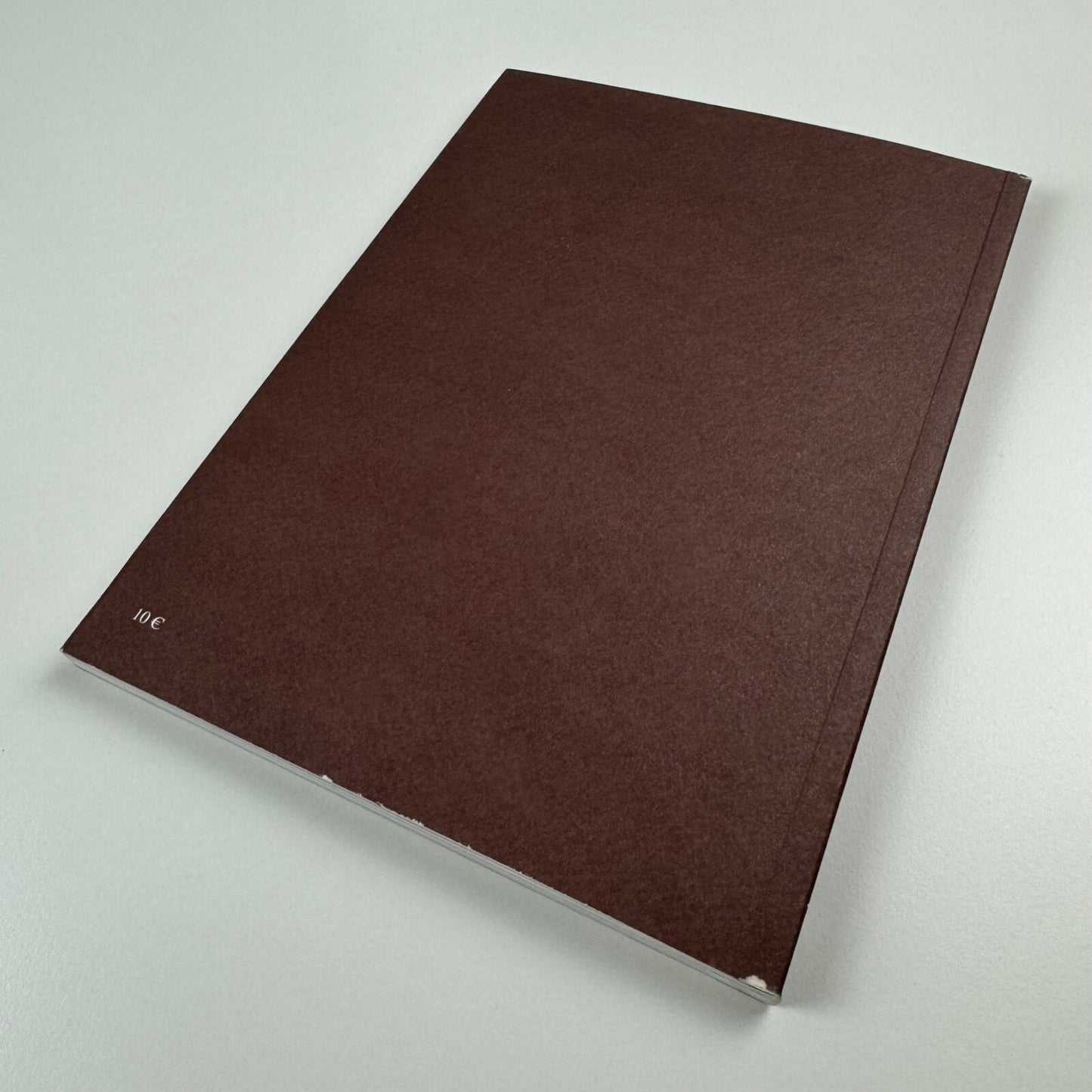 Henrique Oliveira | Marc Bembekoff, Felipe Scovino. Sam Art Projects, 2013 catalogue