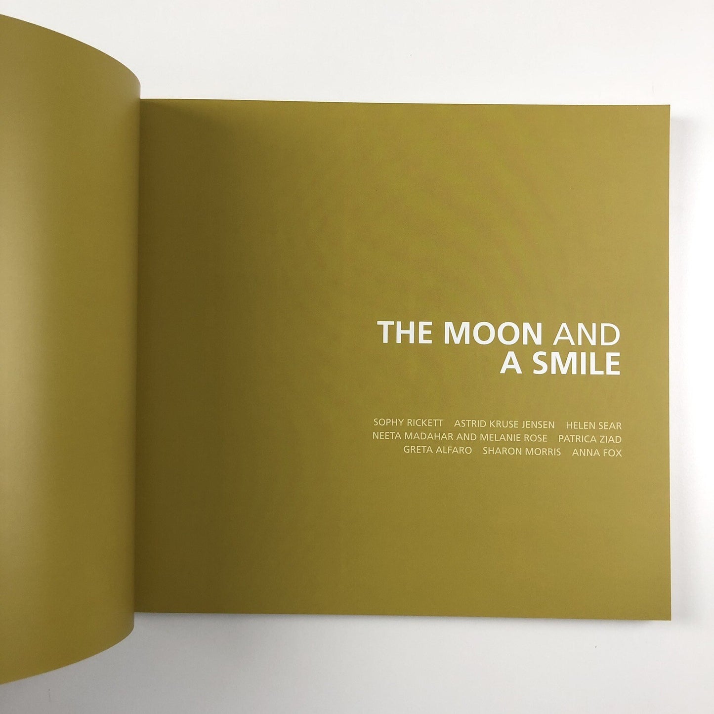 The Moon and a Smile | Glynn Vivian Art Gallery exhibition catalogue, 2017