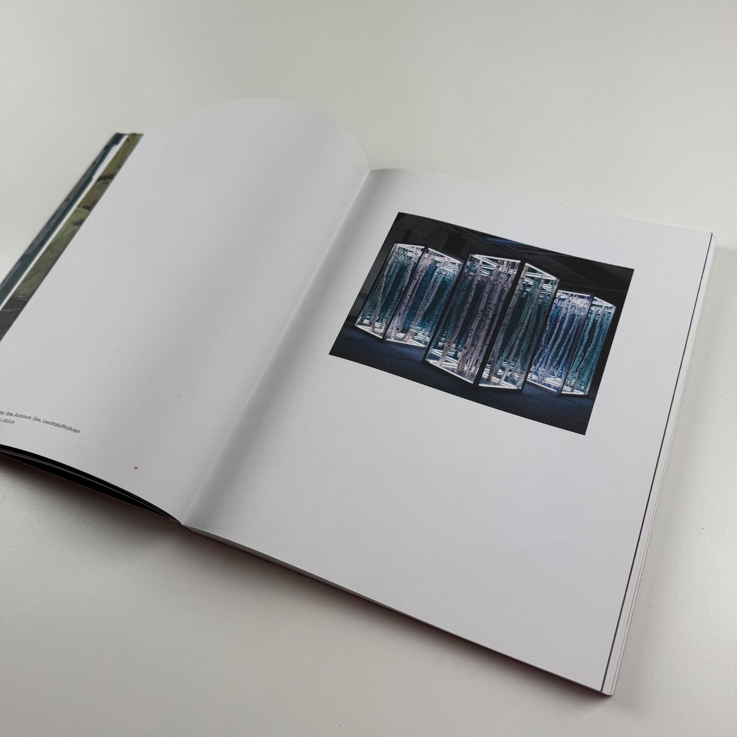Anthony James. Morphic Fields - Skulpturen | Hatje Cantz, 2014