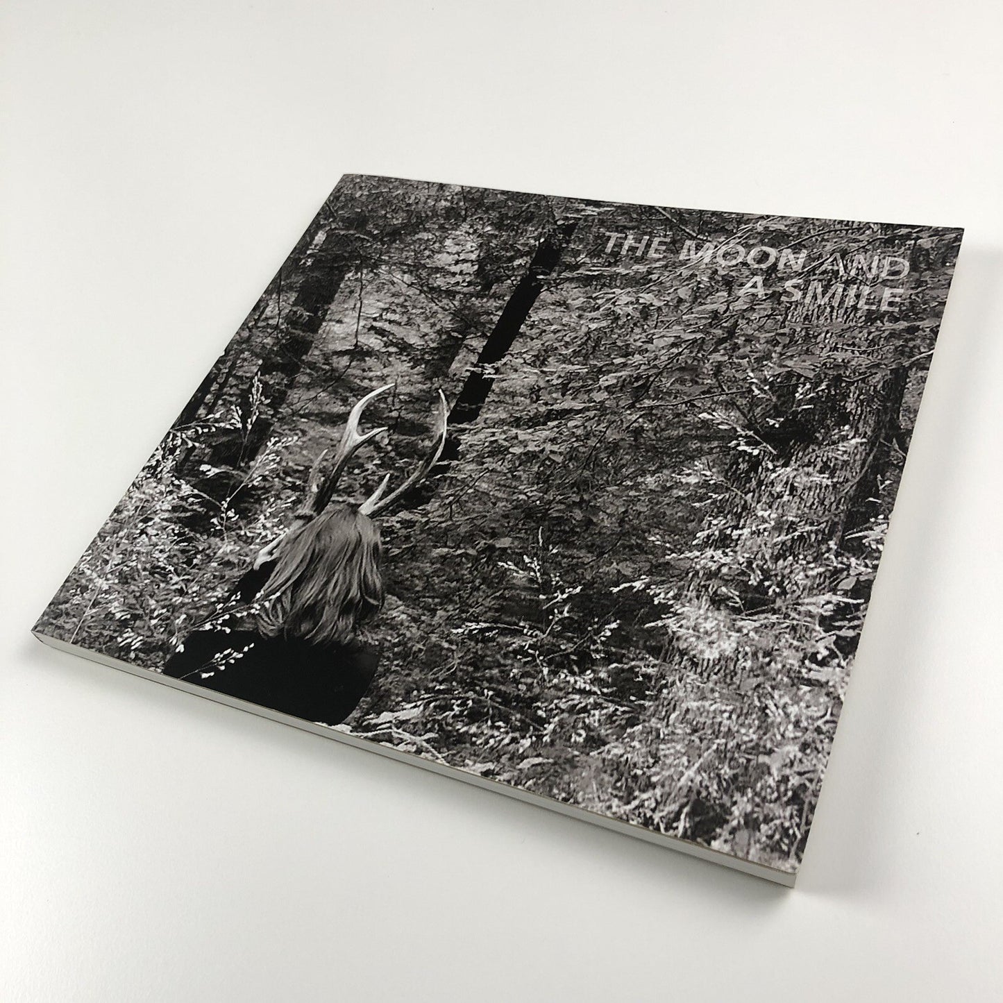 The Moon and a Smile | Glynn Vivian Art Gallery exhibition catalogue, 2017