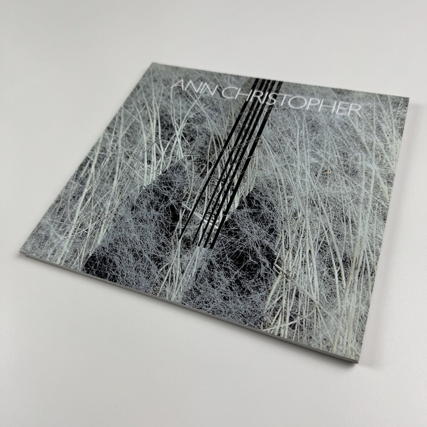 Ann Christopher. Selected Work 1995-2007 Sculpture, Drawing, Print | Royal Academy catalogue, 2010