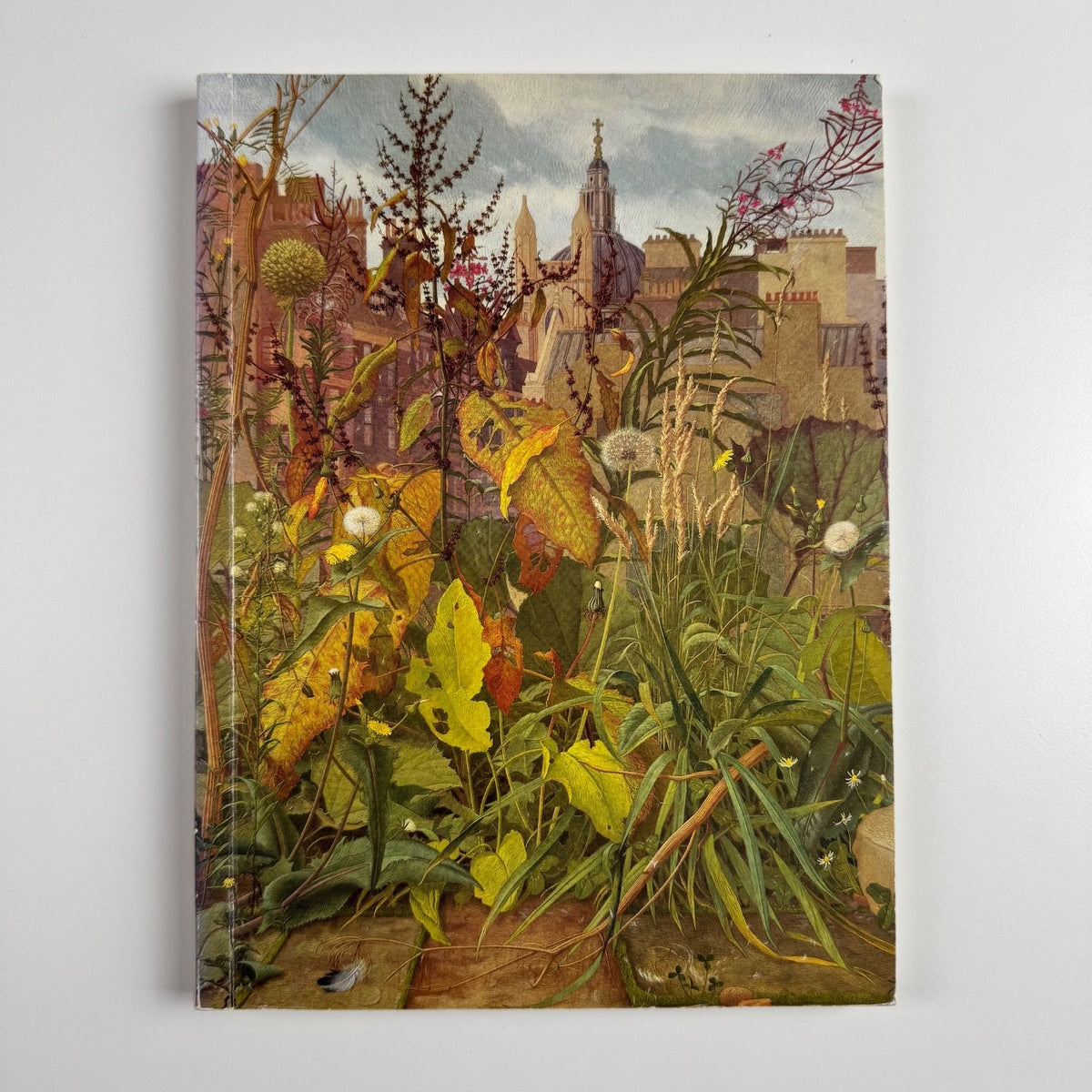 Eliot Hodgkin 1905-1987. Painter & Collector | Hazlitt, Gooden & Fox, 1990