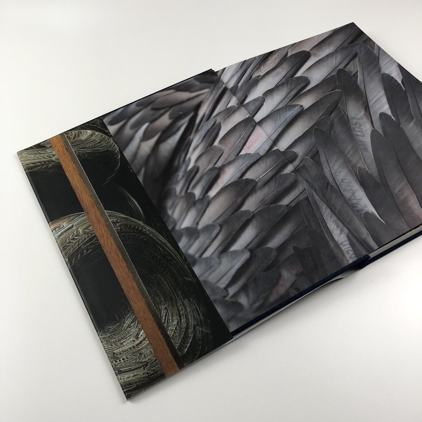 Kate MccGwire | Edited by Mark Sanders | Anomie Publishing, 2021