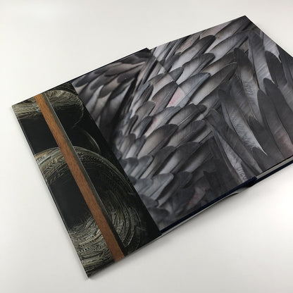 Kate MccGwire | Edited by Mark Sanders | Anomie Publishing, 2021