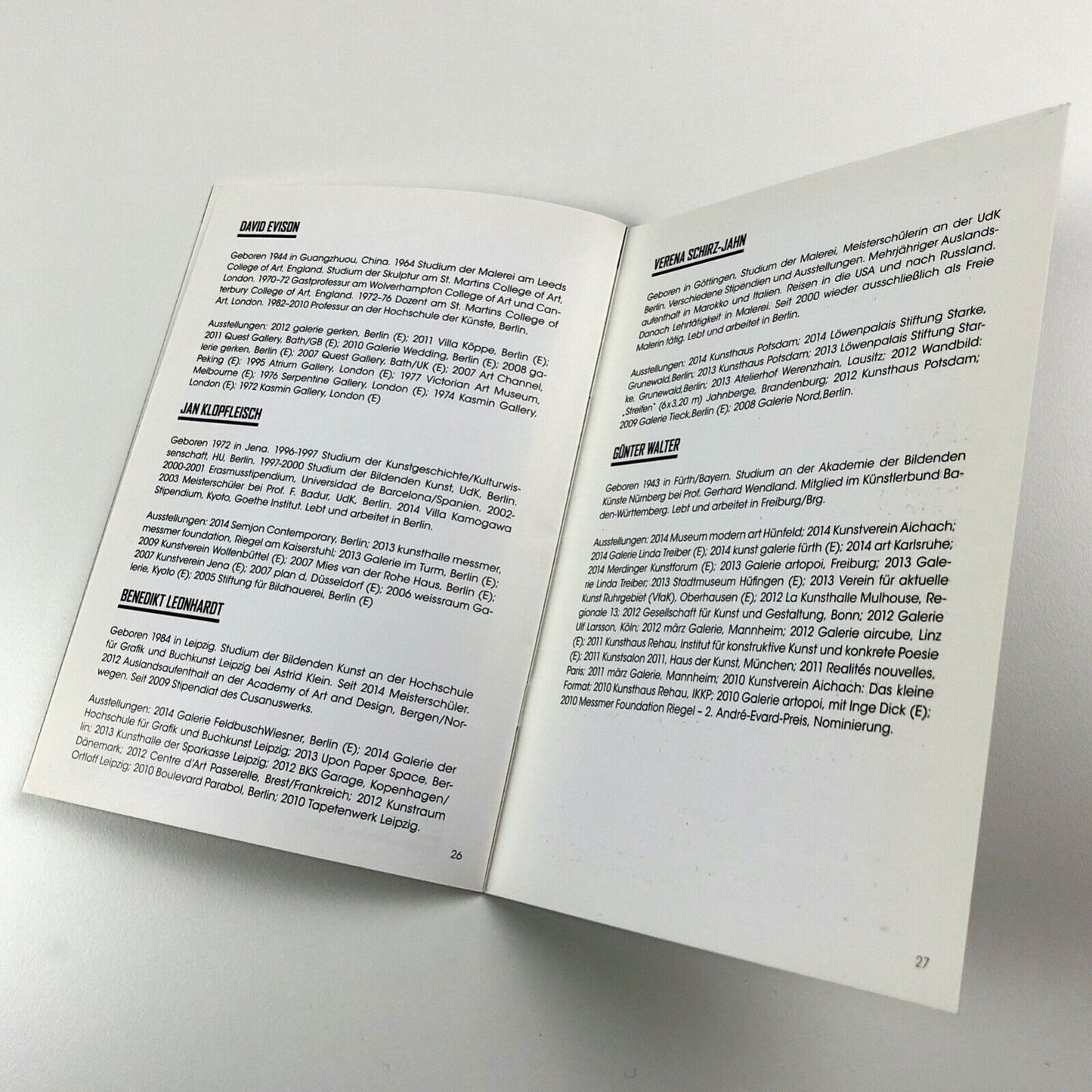 Continuous Abstraction | Kunstverein Tiergarten | Galerie Nord catalogue, 2015