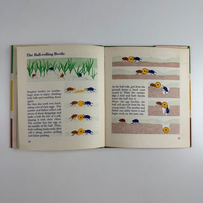 The Wonder World of Insects by Marie Neurath | Max Parrish, 1953 Isotype