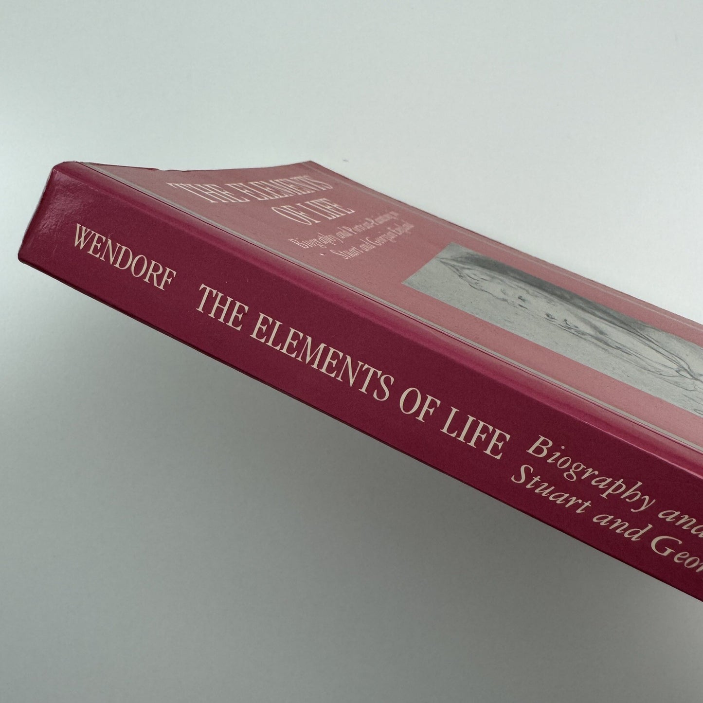 The Elements of Life. Biography and Portrait-Painting in Stuart and Georgian England by Richard Wendorf | Clarendon Paperbacks, Oxford, 1991
