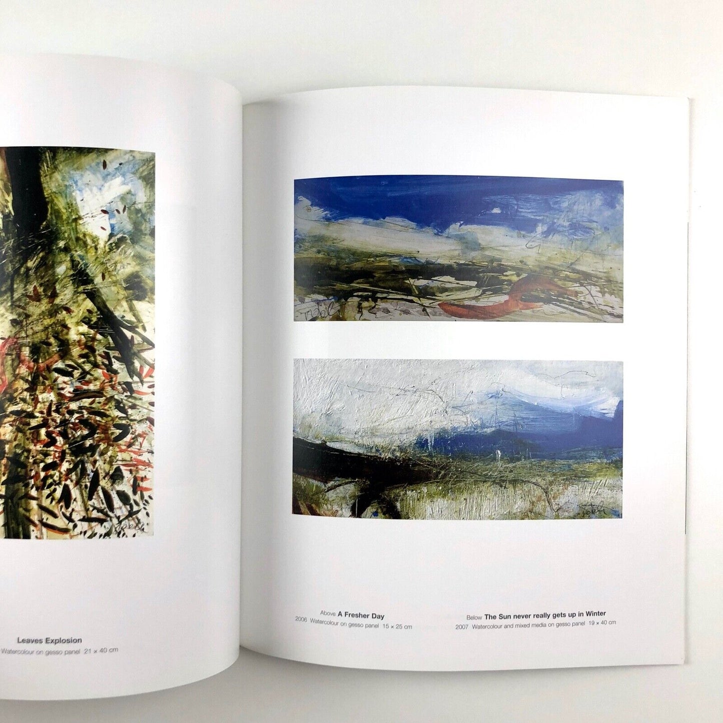 Where the sky touches the land. Lewis Noble paintings | Hart Gallery, 2007