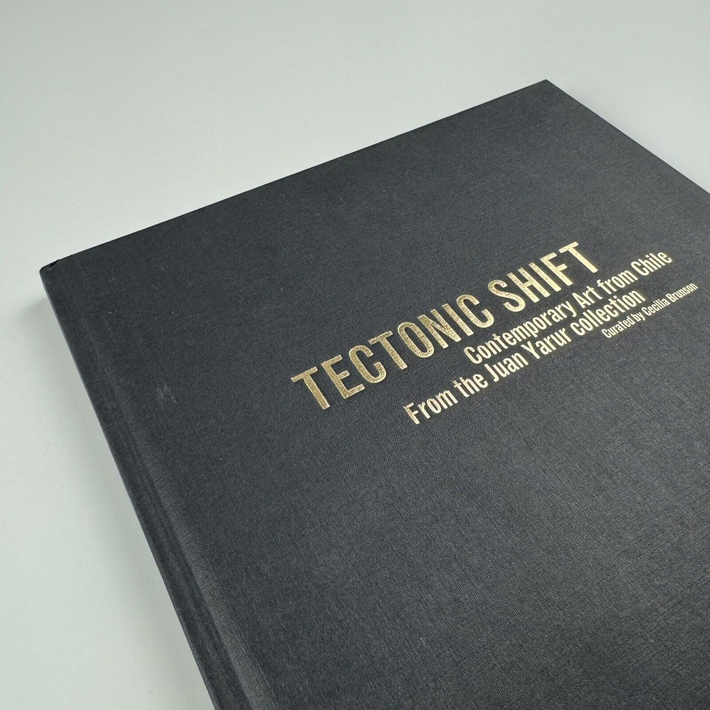 Tectonic Shift. Contemporary Art from Chile from the Juan Uarur Collection | Phillips de Pury & Co catalogue, 2010