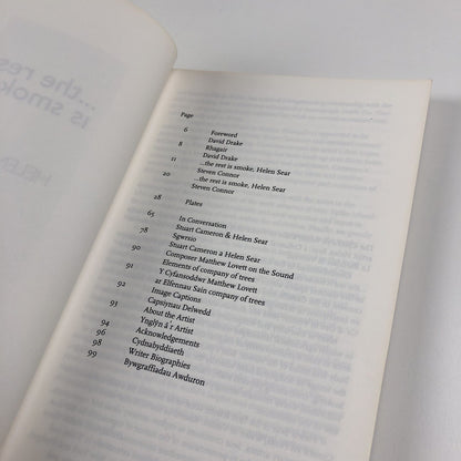 Helen Sear ... the rest is smoke | Wales in Venice biennale catalogue, 2015