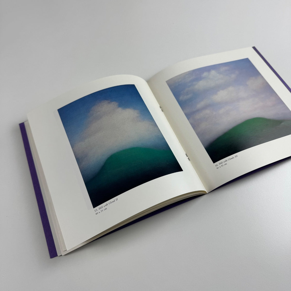 Tobit Roche. Clouds and Mountains Recent Paintings | The Maas Gallery, 2001