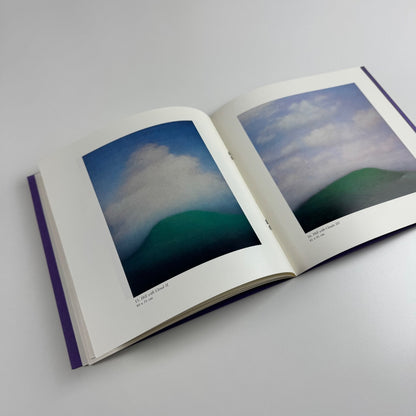 Tobit Roche. Clouds and Mountains Recent Paintings | The Maas Gallery, 2001