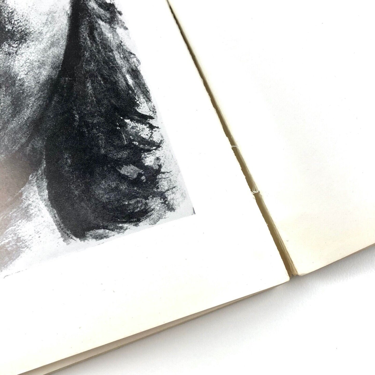 Homage to Picasso – Drawings & Paintings Since 1893 | Lund Humphries catalogue, 1951