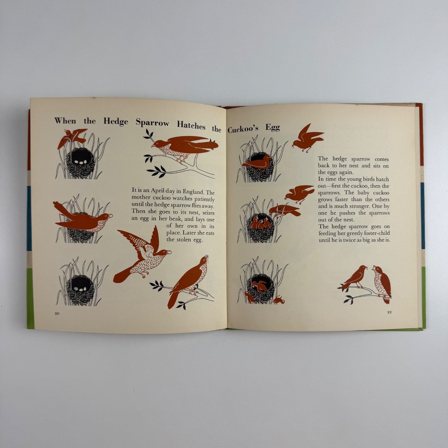 The Wonder World of Birds by Marie Neurath | Max Parrish, 1953 Isotype Institute