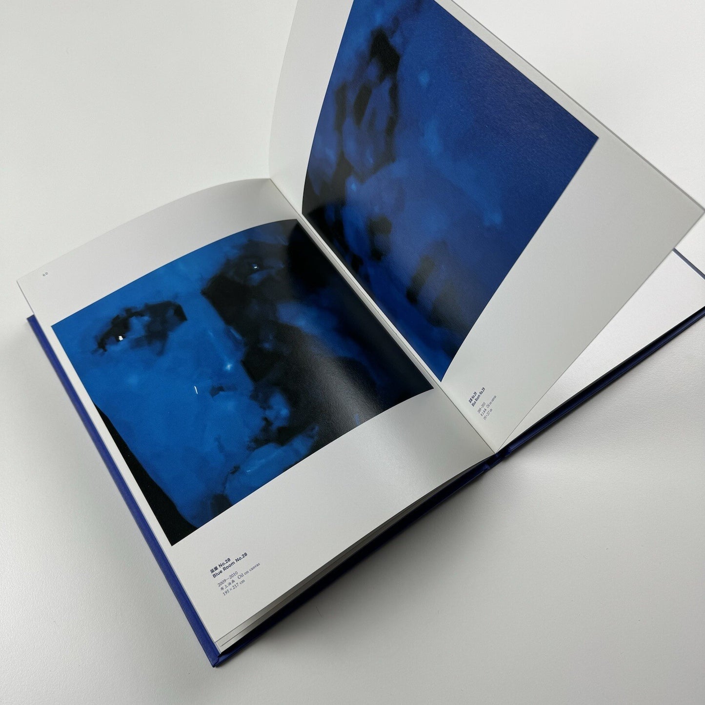 Blue Room. Yang Shao Bin | Ullens Center for Contemporary Art in Beijing, 2010 catalogue