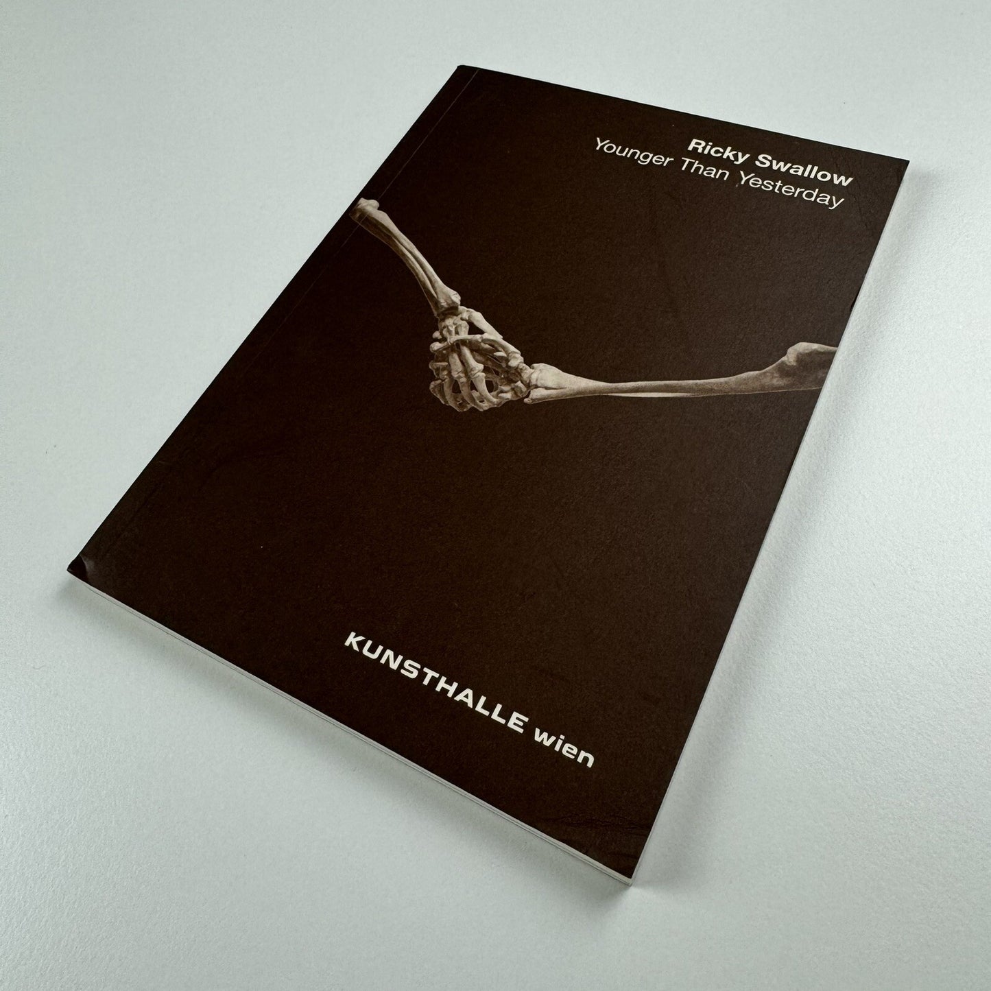 Ricky Swallow. Younger Than Yesterday | Kunsthalle Wien 2007 catalogue