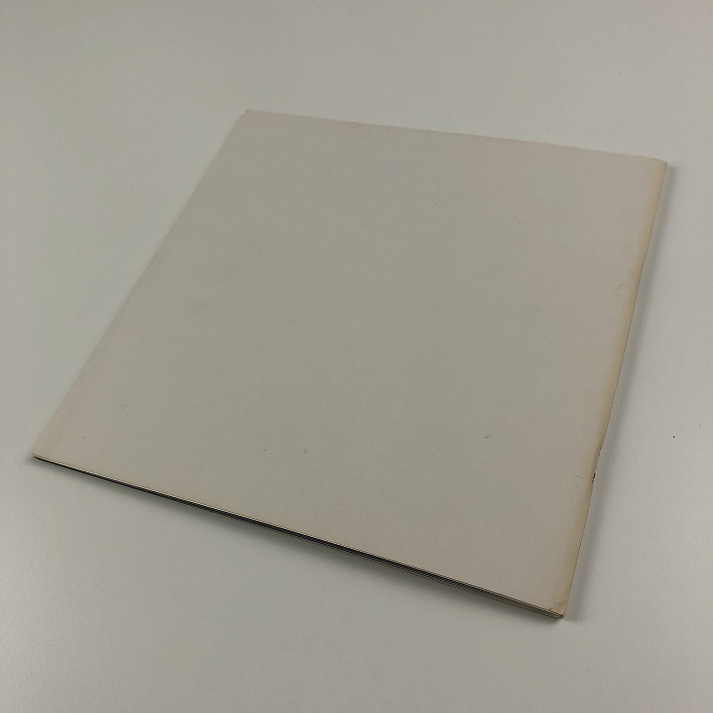 Fall. Monica Ross | Chapter, Wales 1994 exhibition catalogue