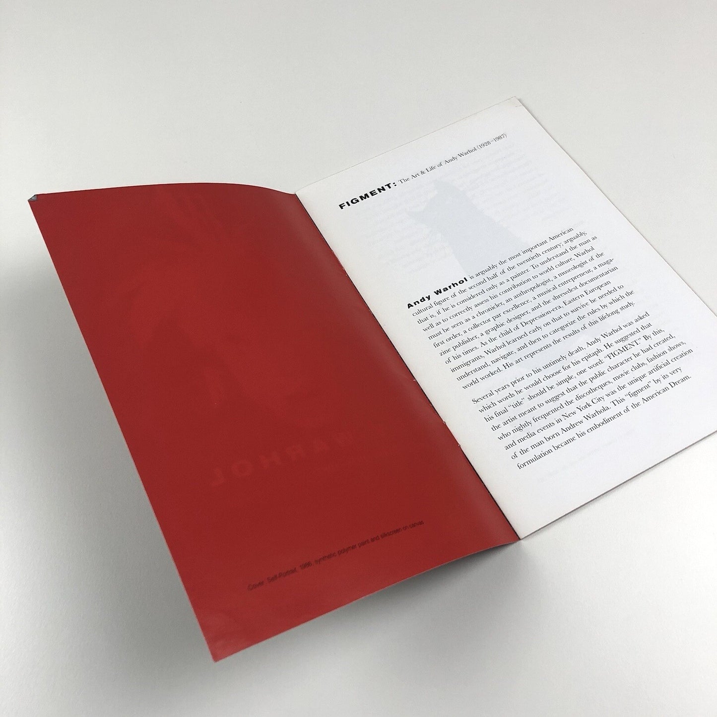 Andy Warhol – His Art & Life | The Andy Warhol Museum guide, undated