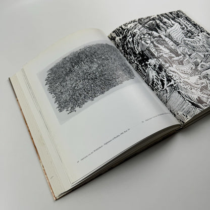 H.G. Rauch 1939-1993. Satire Vision | Hans Joachim Neyer | Bearbeitet von Karl Janke. Dumont, 1995
