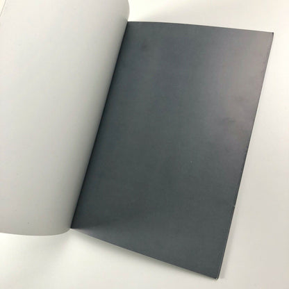 Roberto Caracciolo | Galerie Blancpain Stepczynski Geneva 2004 catalogue