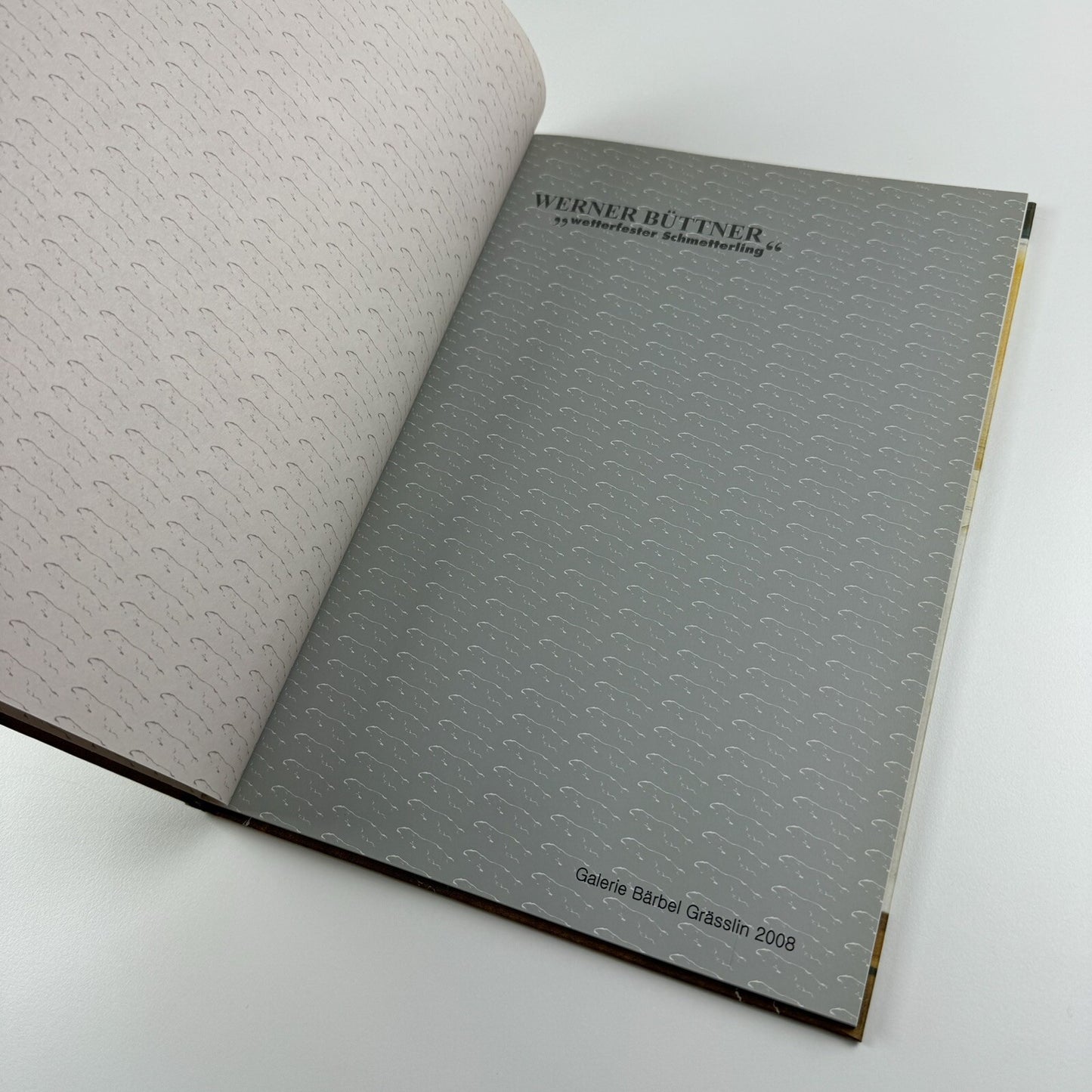 Werner Büttner. “Wetterfester Schmetterling” | Galerie Bärbel Grässlin exhibition catalogue, 2008
