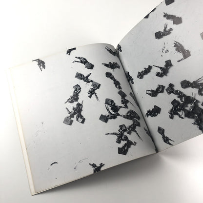 Cornelia Parker: A catalogue of disasters | Edward Woodman, Book Works 1993
