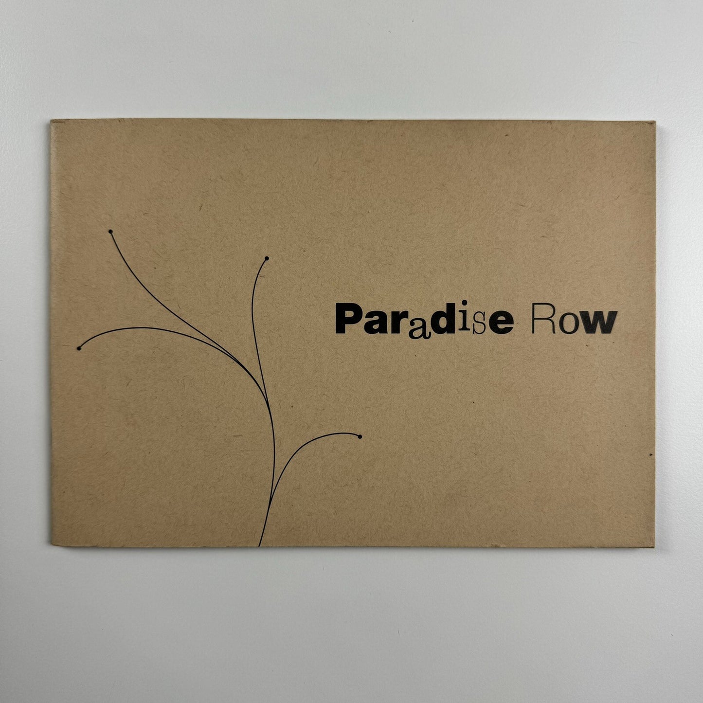 Paradise Row | Artist Shezad Dawood | Curated by Chris Hammond | Architect Tughela Gino | MOT International, 2005
