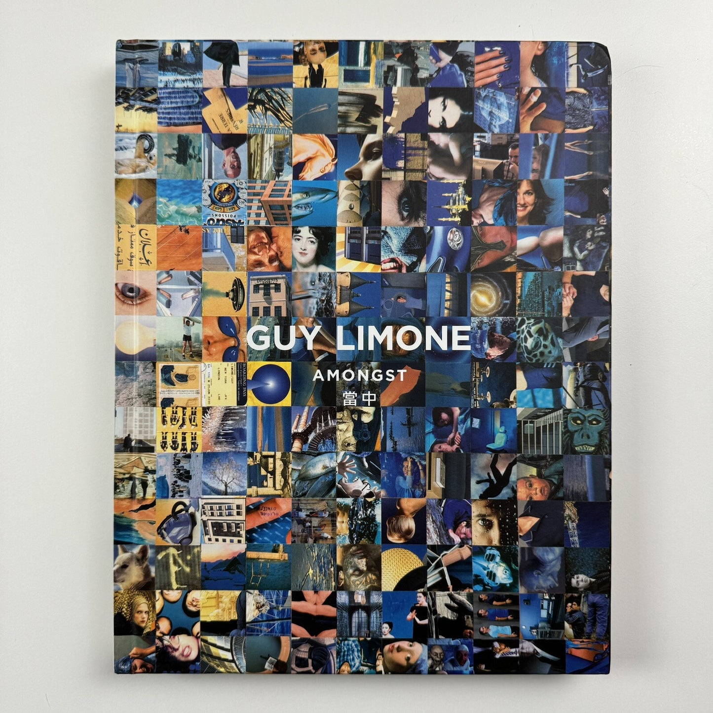 Guy Limone – Amongst | Galerie Perrotin 2012 exhibition catalogue