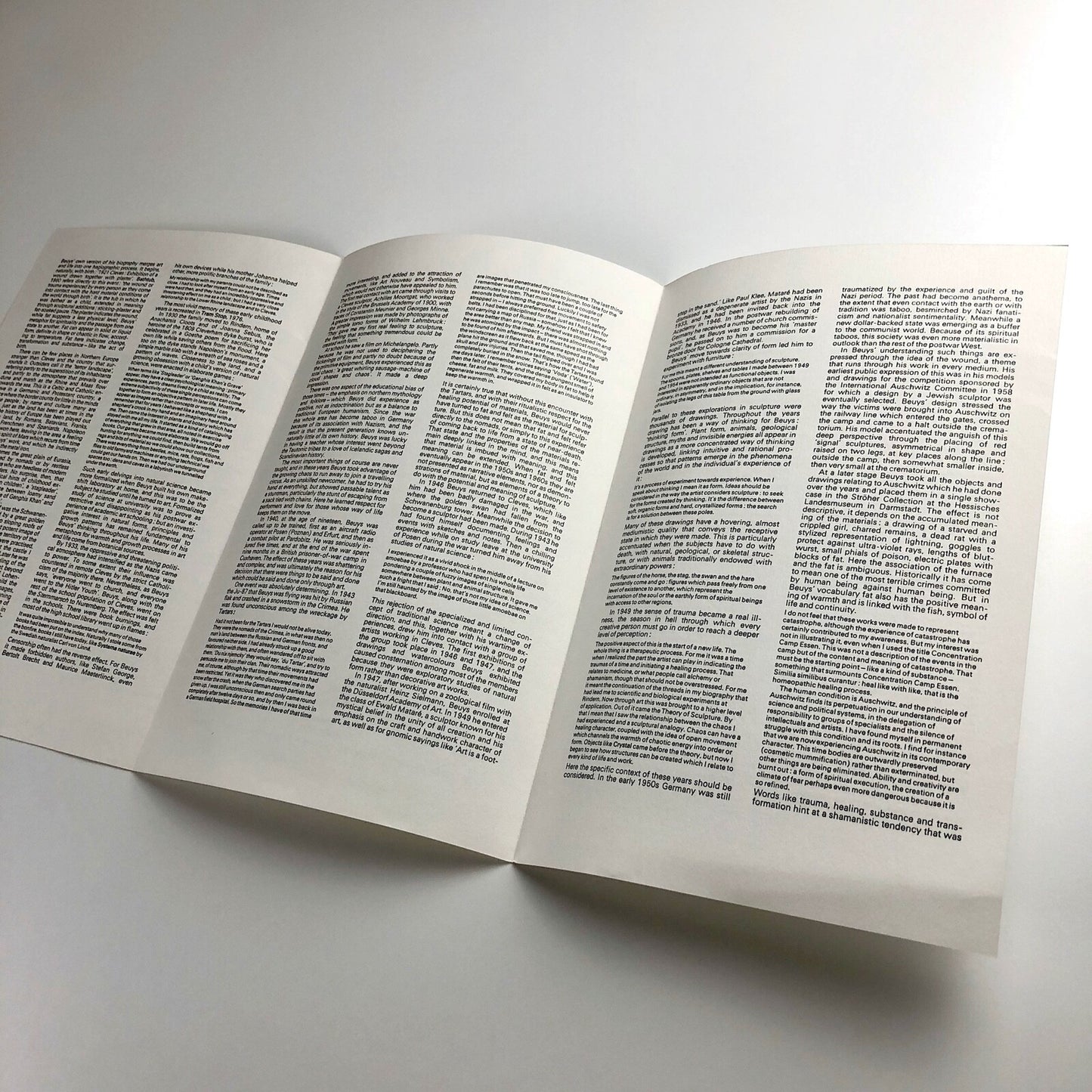 Joseph Beuys | Anthony d'Offay exhibition leaflet | August 1980 | Text by Caroline Tisdall