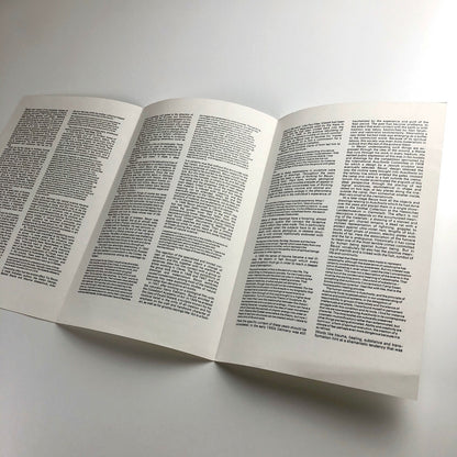 Joseph Beuys | Anthony d'Offay exhibition leaflet | August 1980 | Text by Caroline Tisdall