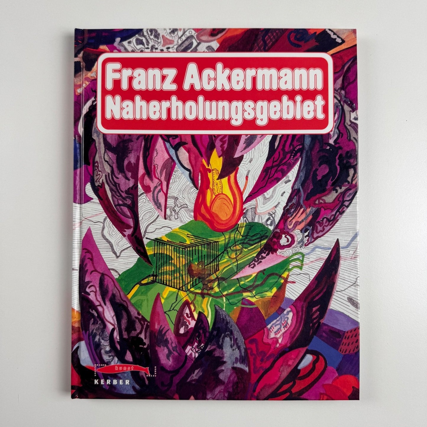 Franz Ackermann. Naherholungsgebiet | Kunstmuseum, Wolfsburg, 2003