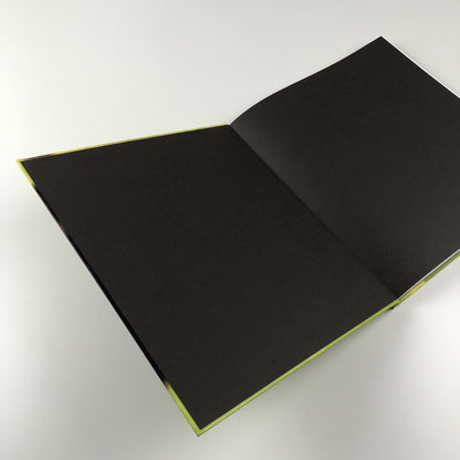 Alex Katz Quick Lights | Serpentine Galleries | Koenig Books 2016