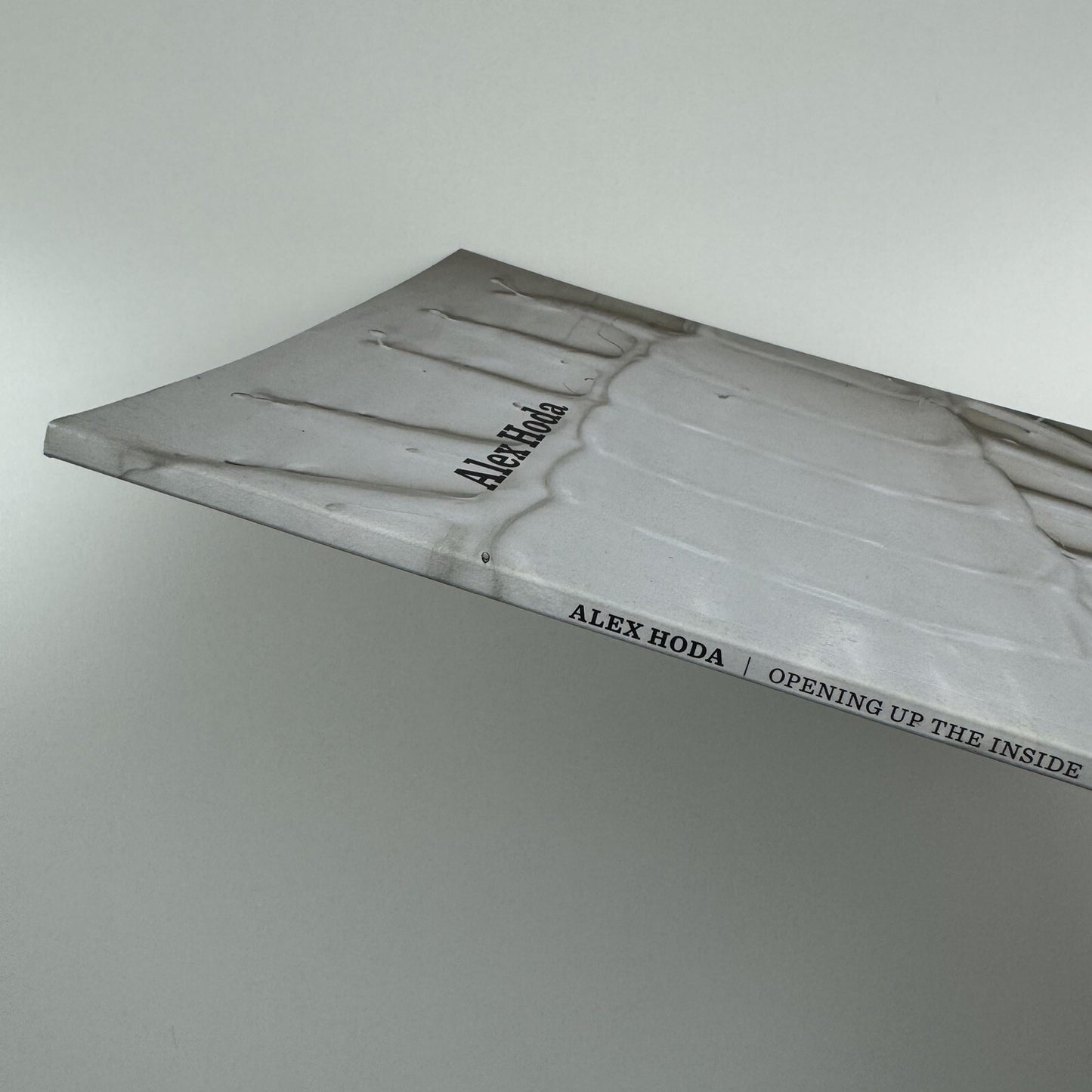 Alex Hoda. Opening up the Inside | Gantry Projects, London, 2009 catalogue