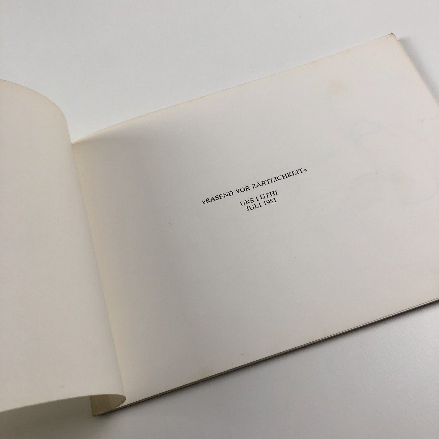 Urs Lüthi. Rasend vor Zärtlichkeit | Galerie Krinzinger, Galerie Nächst St Stephan | Exhibition catalogue