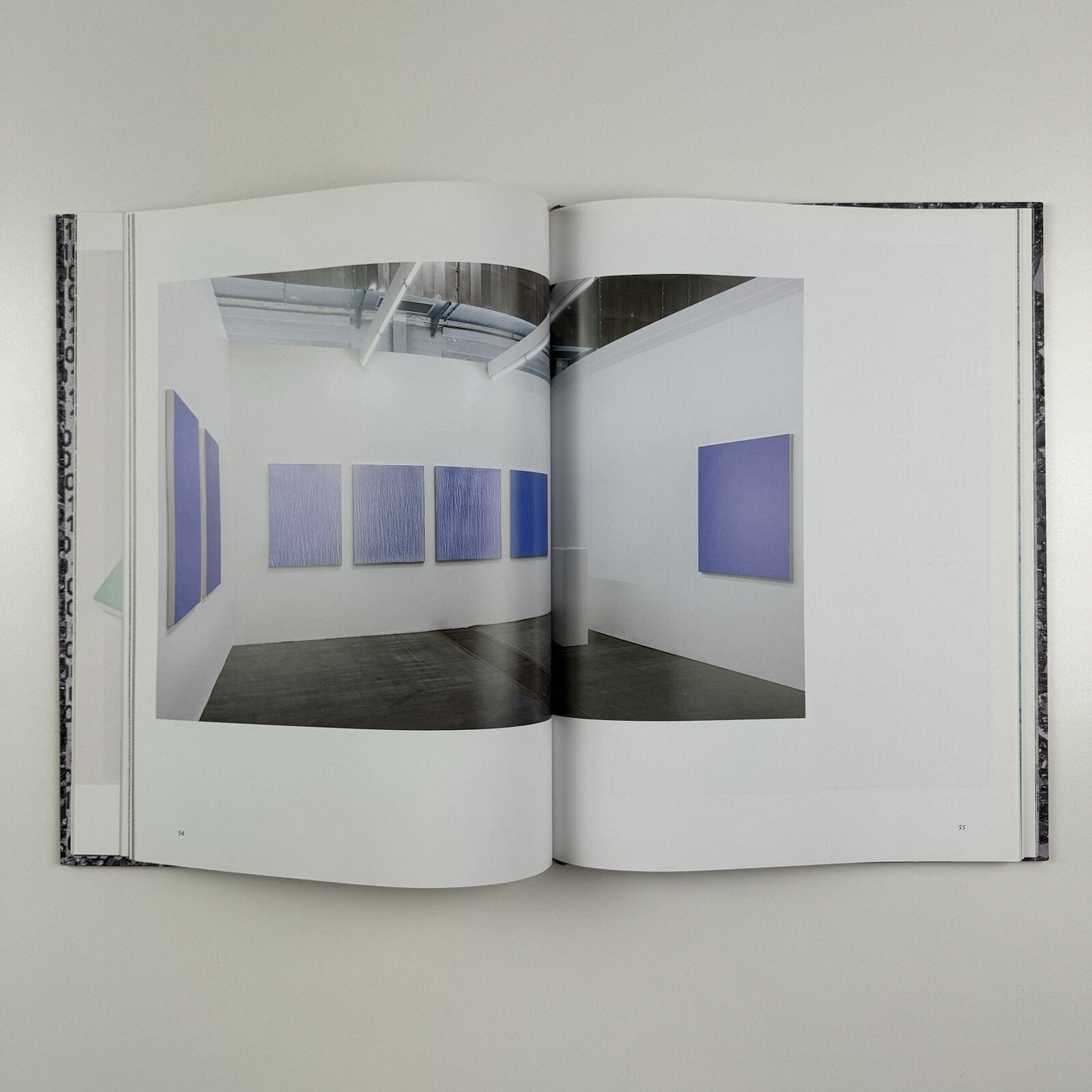 Michael Staniak. IMG | Contemporary Art Museum St Louis | 2015 exhibition catalogue