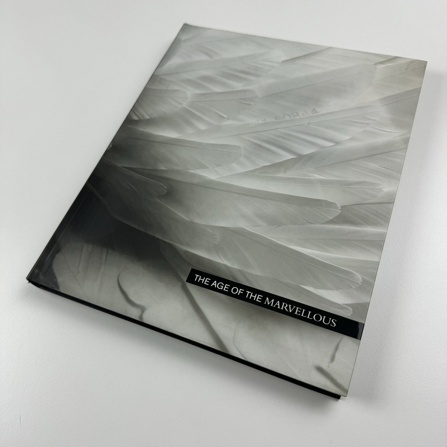 The Age of the Marvellous | One Marylebone Road | All Visual Arts catalogue, 2009 | Text by Joe Le Placa and John Paul Pryor