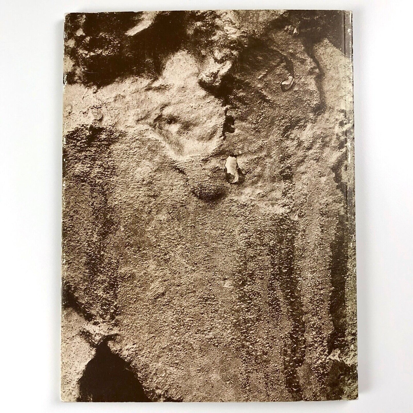 Elisabeth Frink – Sculpture and Drawings 1952-1984 | Royal Academy, 1985 | Inc. private view