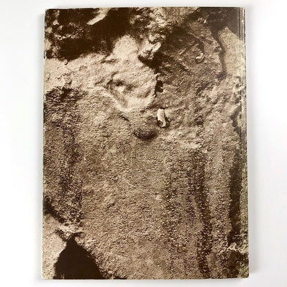 Elisabeth Frink – Sculpture and Drawings 1952-1984 | Royal Academy, 1985 | Inc. private view