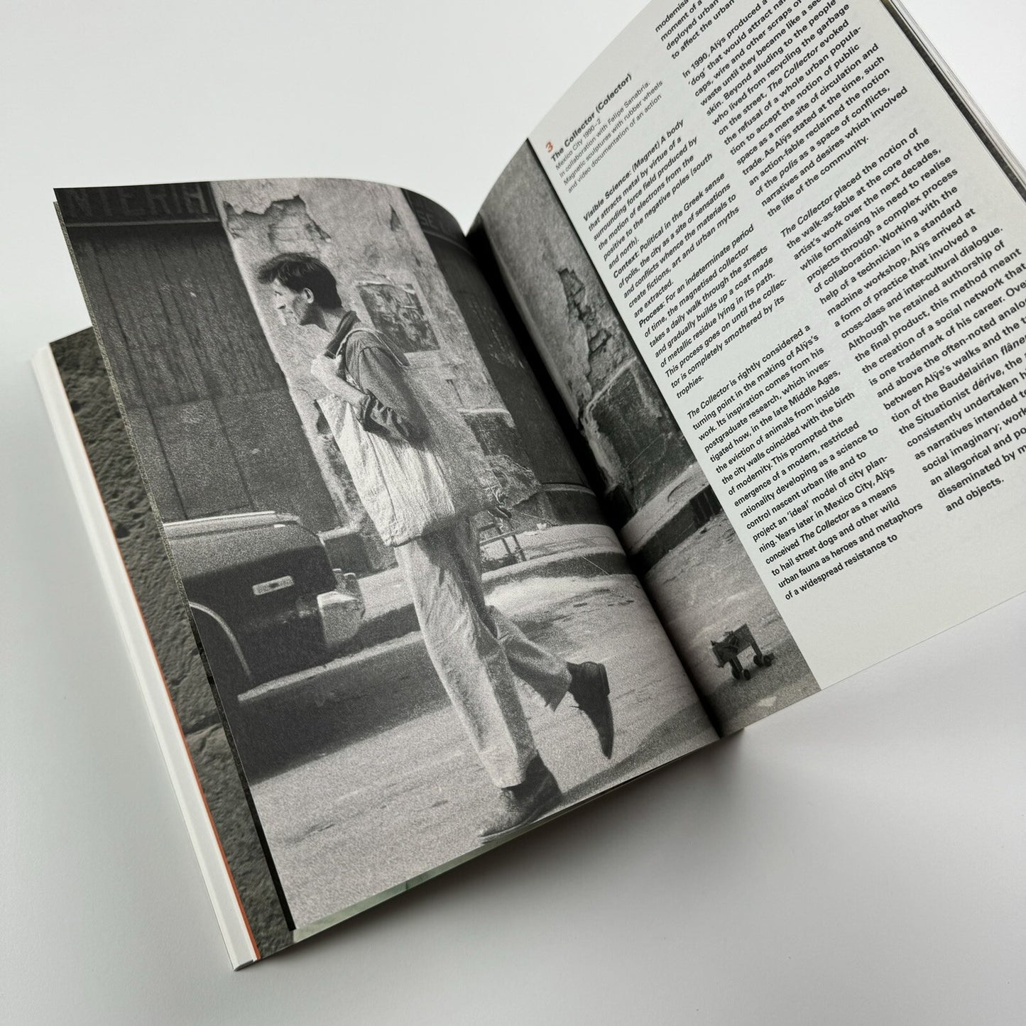 Francis Alÿs: A Story of Deception | Klaus Biesenbach & Mark Godfrey | Tate, 2010